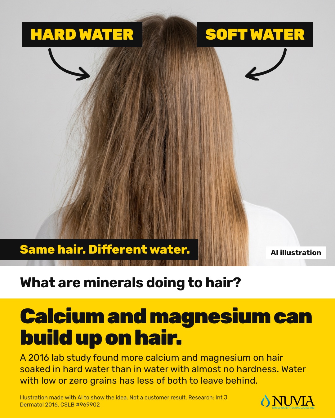 AI illustration: the same head of hair split down the middle, labelled hard water on the left and soft water on the right